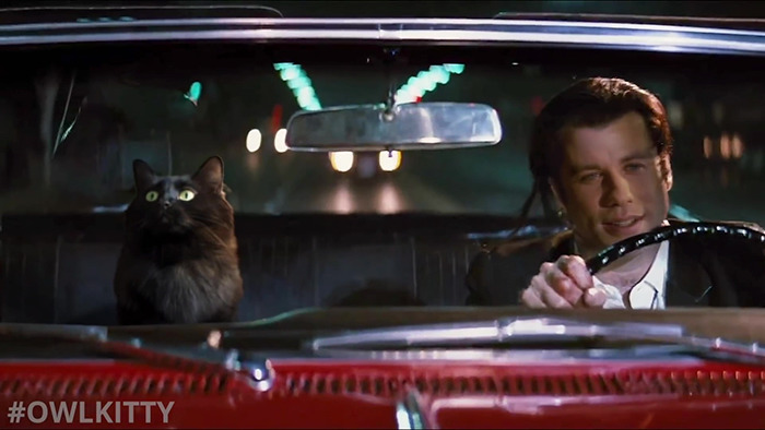 Here's A Parody Of Tarantino's "Pulp Fiction" With A Cat Starring In It