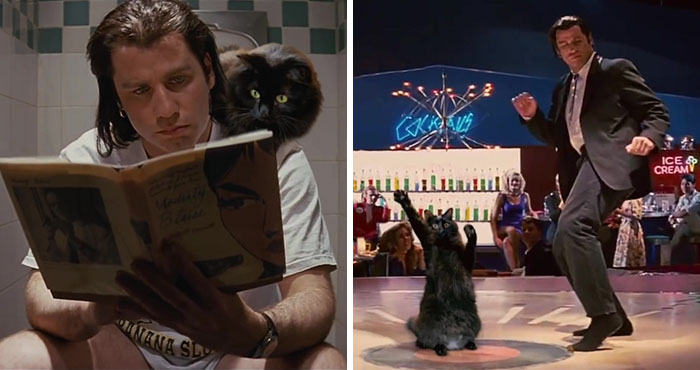 Here’s A Parody Of Tarantino’s “Pulp Fiction” With A Cat Starring In It
