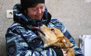 Meet Redhead, A Good Boy Who Was Able To Serve In The Police Despite His Short Legs