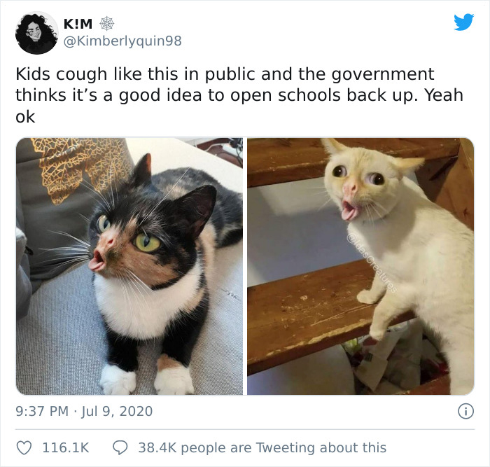 Schools-Reopening-Tweets