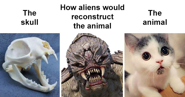 People Compare How Aliens Would Reconstruct Animals Based On Their Skulls Vs. What They Really Look Like (28 Pics)