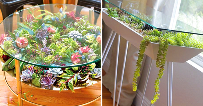 31 Times People Made Their Home Greener By Turning Tables Into Succulent Gardens