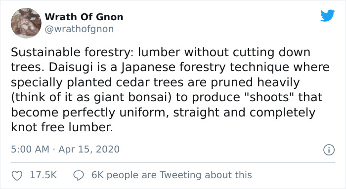 Apparently, This Ancient Japanese Technique From The 14th Century Allows People To Produce Lumber Without Having To Cut Down Trees
