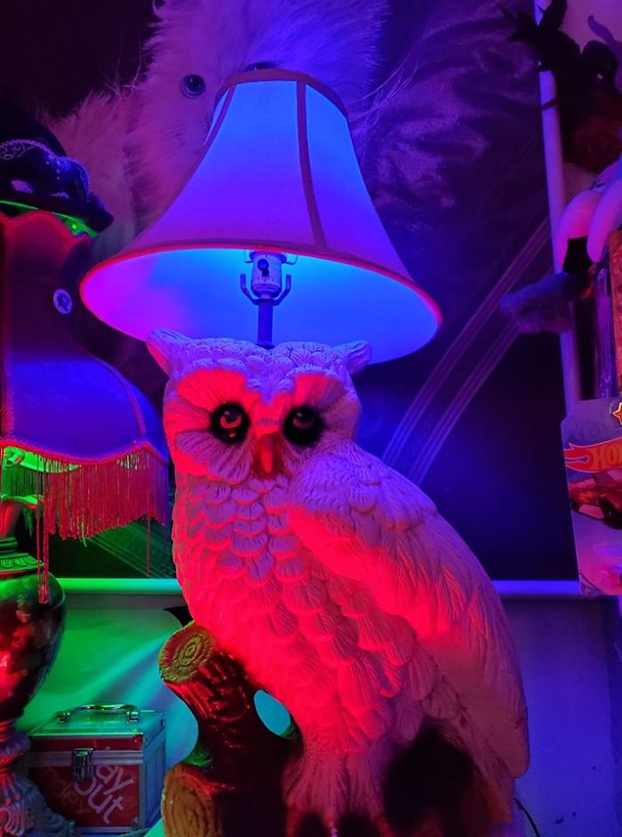 Today I Bought This Owl Lamp From A Lovely Lady On Facebook