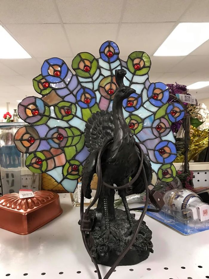 Saw A Very Cool Peacock Lamp At The Idaho Youth Ranch In Boise, Id On Orchard. It Lights Up Too! Sadly It Didn’t Come Home With Me, Nowhere To Put It. Plus The 45 Bucks Was More Than I Was Willing To Spend