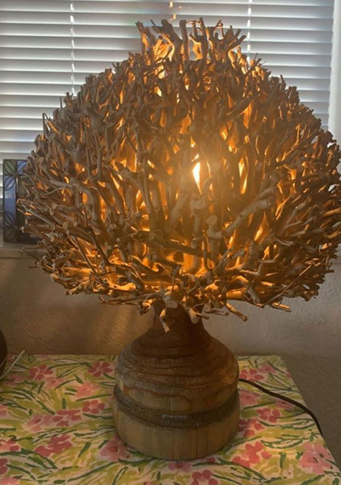 I Found This Stunning Tree Of Life Lamp At The Goodwill In Ft Myers! It Is So Awesome, That The Spouse Said, “That’s Really Cool, Did They Have Two?”. He Really Doesn’t Get It!! It Is All One Giant Piece Of Wood. The Detail Is Amazing. I Feel So Fortunate To Have Gotten For Only $19.00!