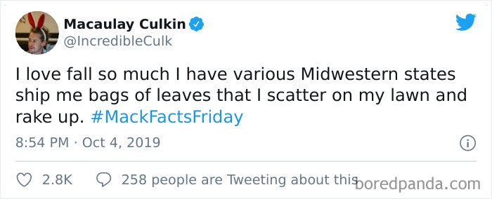 Funny-Tweets-Macualay-Culkin