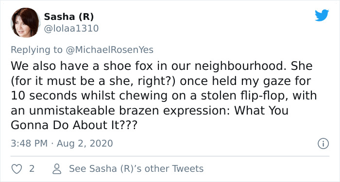 Fox From Berlin Gets Unmasked As A Crocs-Thief With A Collection Of Over 100 Stolen Shoes And People Find It Hilarious