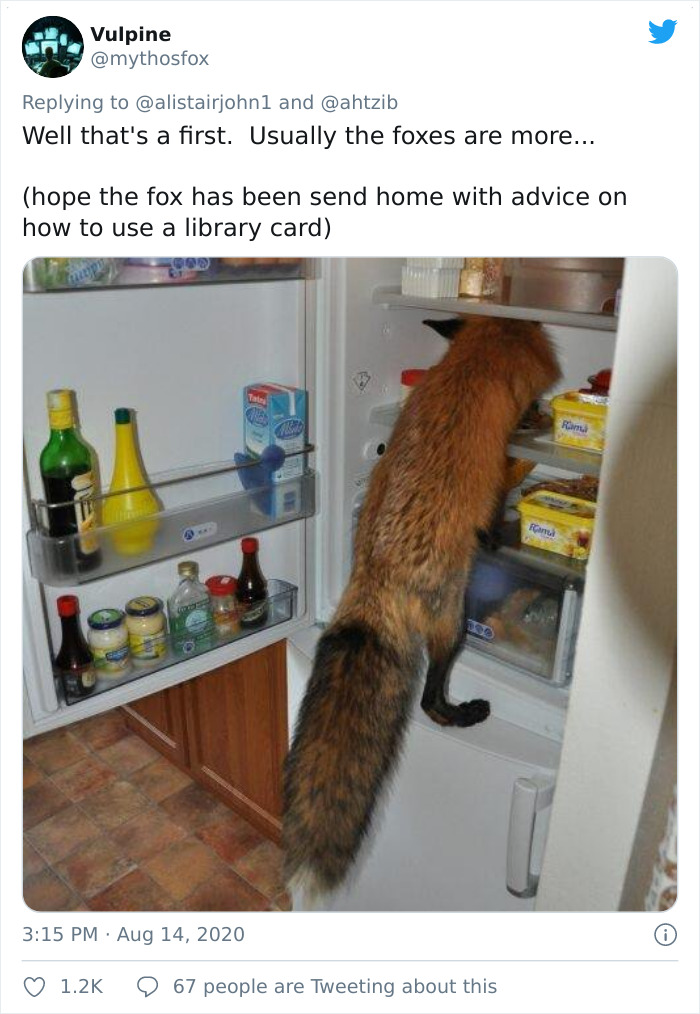 Well That's A First. Usually The Foxes Are More...