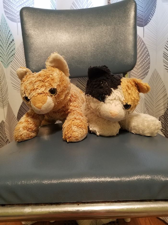 Meet Cuddly (Right) And Snuggly (Left)! Cuddle Was My Great Grandma's Who Had It Given To Her Bc She Had Alzheimer's And I Found Snuggly At A Garage Sale For 3 Dollars