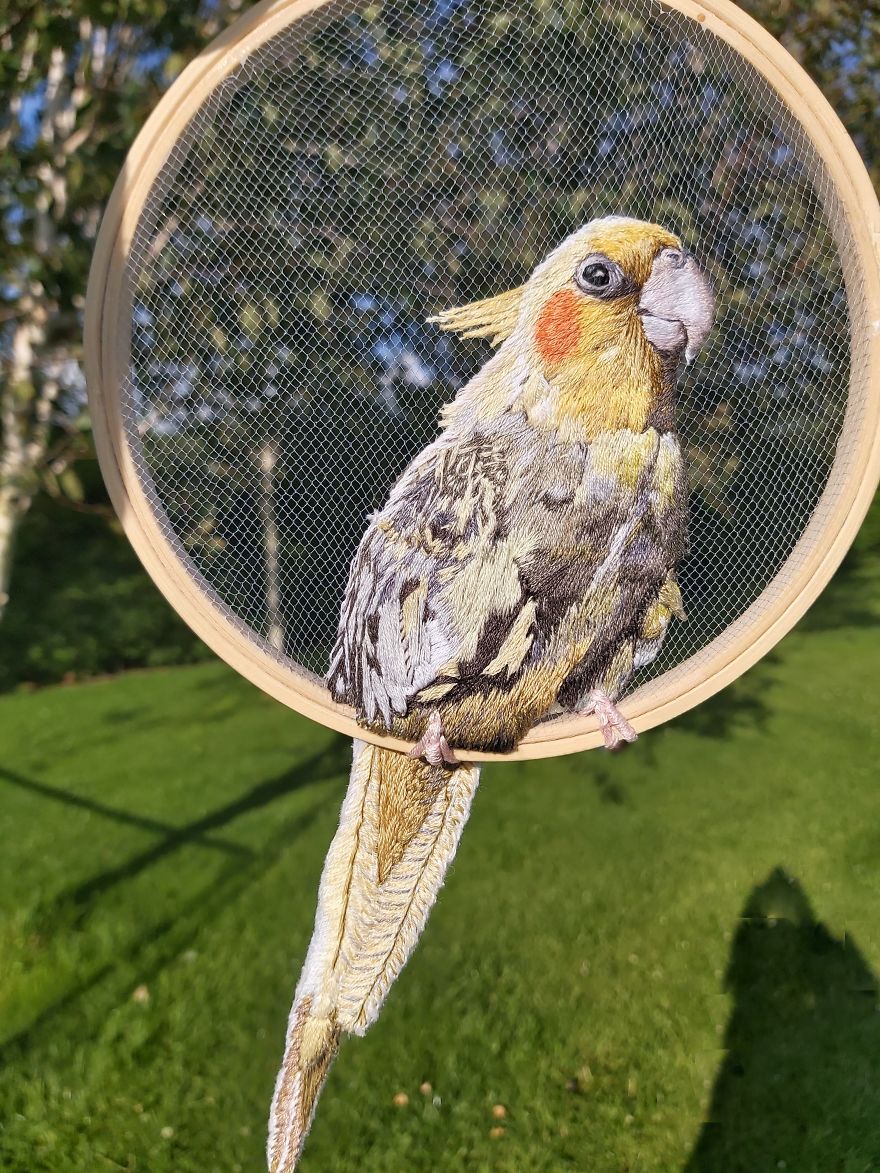Real Birb Or Art?