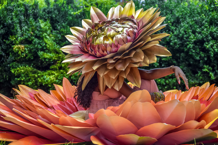I Design Some Of The World's Largest Paper Flowers - 500+ Handcrafted Petals - Flower Child Project At Rawlings Conservatory
