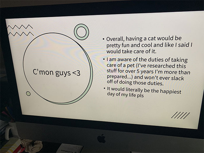 Canadian Girl Makes A PowerPoint To Convince Her Parents To Get A Cat, And It Goes Viral