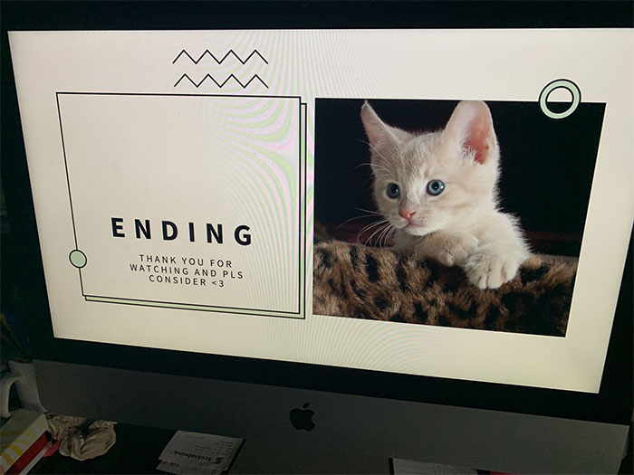 Canadian Girl Makes A PowerPoint To Convince Her Parents To Get A Cat, And It Goes Viral