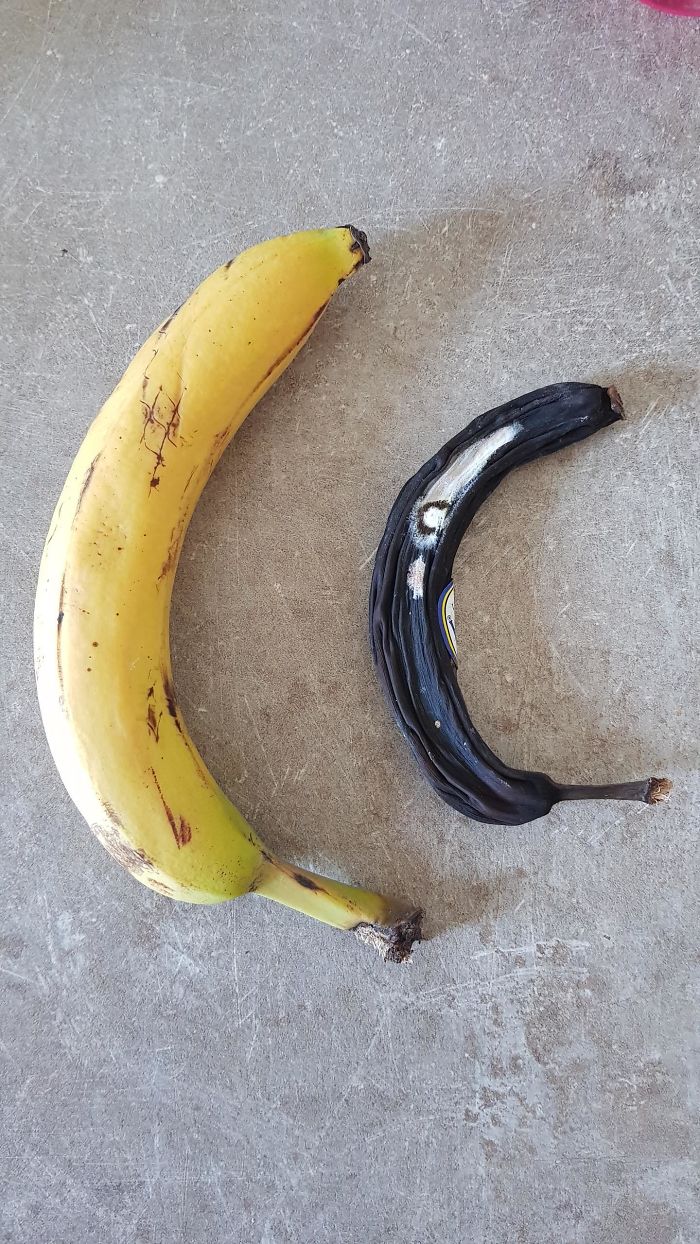 I Found This Mummified Banana, Hidden Under A Shelf. My 3-Year-Old Hid It. No One Knows When And Why. Regular Banana For Scale