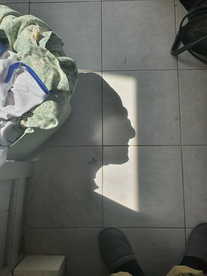 My Box Of Laundry Cast A Shadow That Looks Like An Old Man