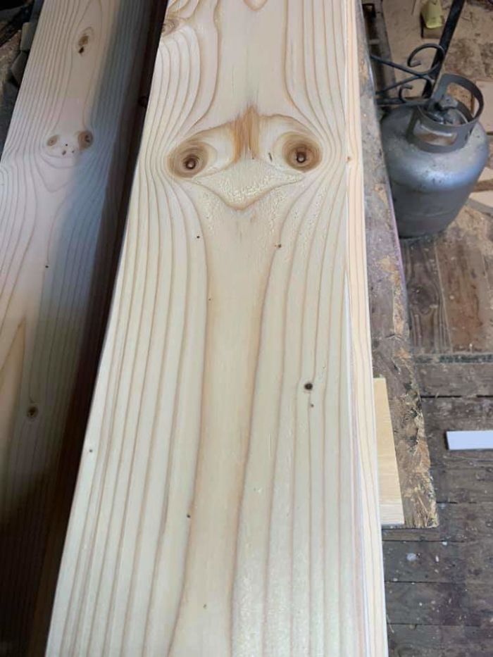 Grains On This Wood Plank Resemble An Ostrich
