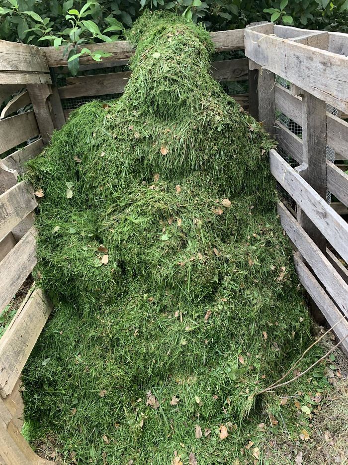 My Grass Compost Pile Looks Like A Grass-Covered Gorilla