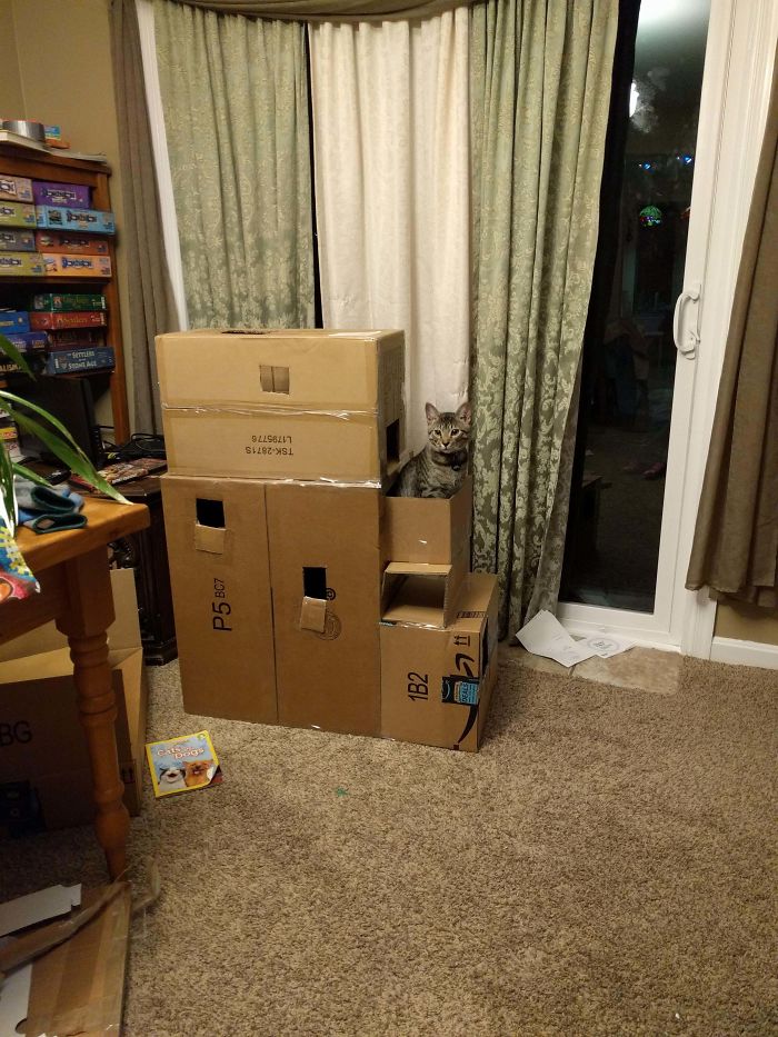 My Cute Little Man Got A New Fort Today. Because We All Know They Like The Boxes More Than What Comes Inside Them.