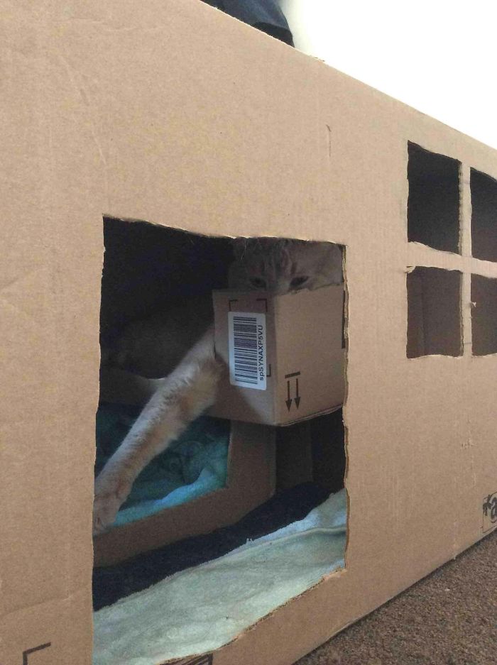 In Celebration Of Caturday, I Made Him A House Out Of Amazon Boxes.