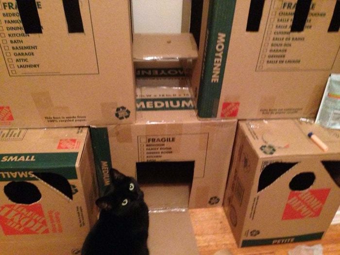 I Made My Cat A Cardboard 'Chateau' Out Of My Old Moving Boxes.