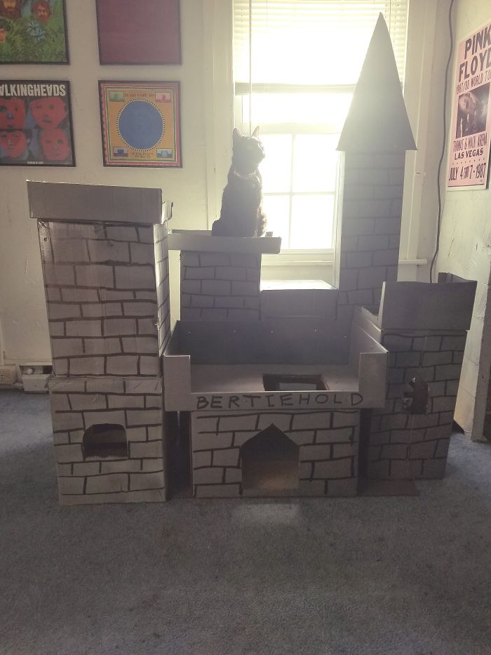 My Boyfriend Built A Castle For My Cat On His Day Off