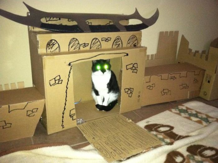 Just A Cat Guarding Her Castle With A Bat'leth
