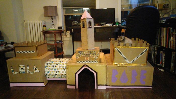 A True Cat Castle