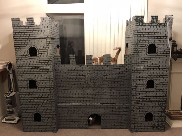 The Cat Castle Is Finished! A Lot Of Cardboard, Hot Glue, Tape, Paint And Time Went Into Making This