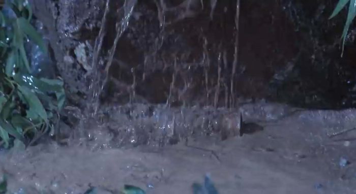 In "Jurassic Park" [1993], After Nedry Is Attacked By The Dilophosaur, The Barbasol Can Containing The Stolen Dinosaur Embryos Is Quickly Covered In Mud. In Paleontology, One Of The Recognized Ways That An Organism May Become Fossilized Is Through The Rapid Burial Of Its Remains