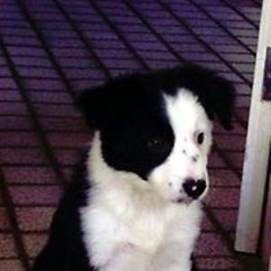 sarah_thompson923 avatar