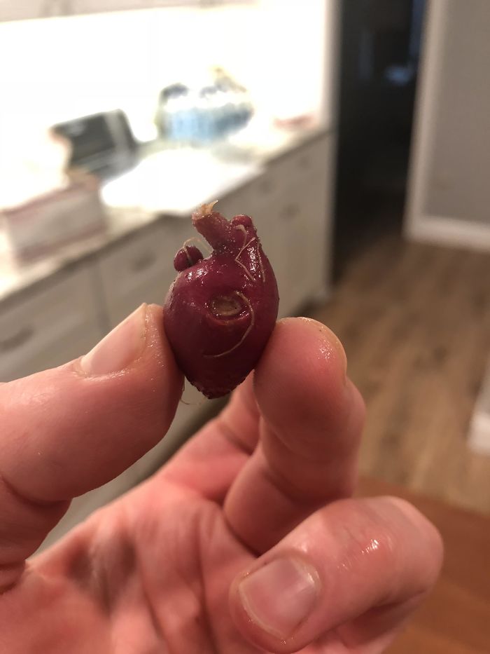 This Small Red Potato Looks Like An Anatomical Heart
