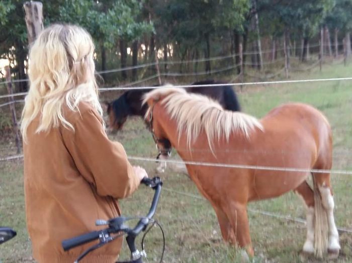 My Girlfriend And Similar Lookin' Horse