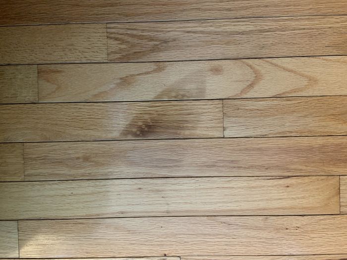 Dropped A Hot Iron On The Hardwood