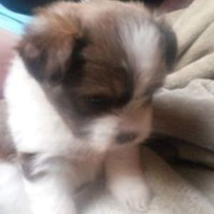 jenniferdyanlangley avatar