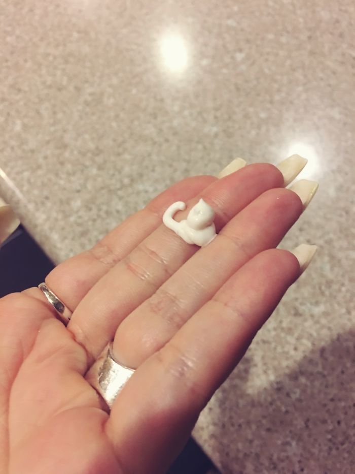 The Way My Lotion Squirted Out Looks Like A Cat