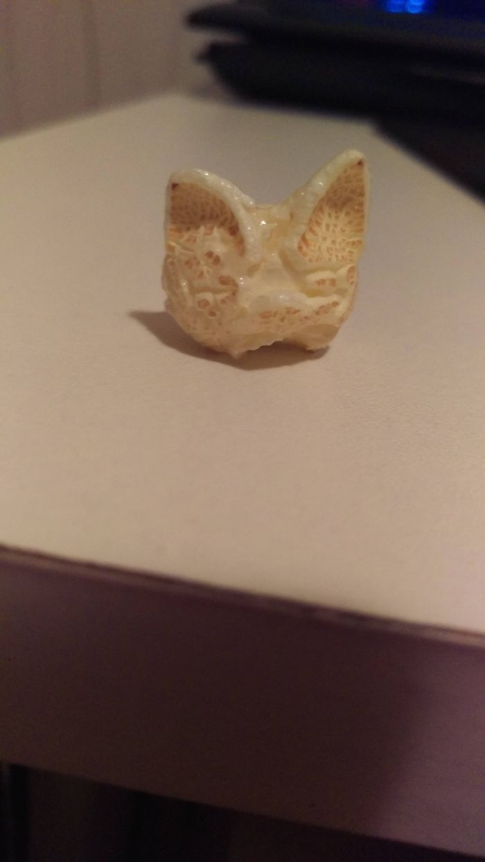 This Popcorn That Looks Like A Cat