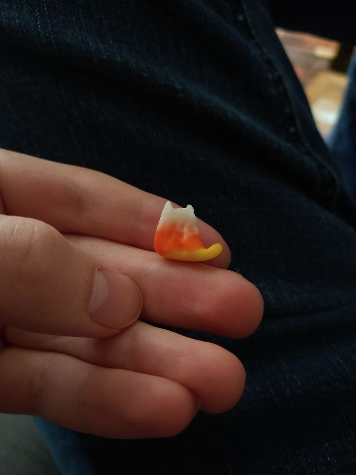 My Candy Corn Looks Like The Silhouette Of A Cat