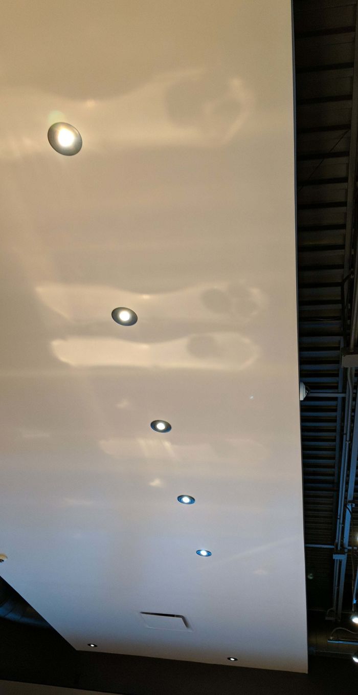 The Shadows On The Ceiling At Work Look Like Cat Paws.