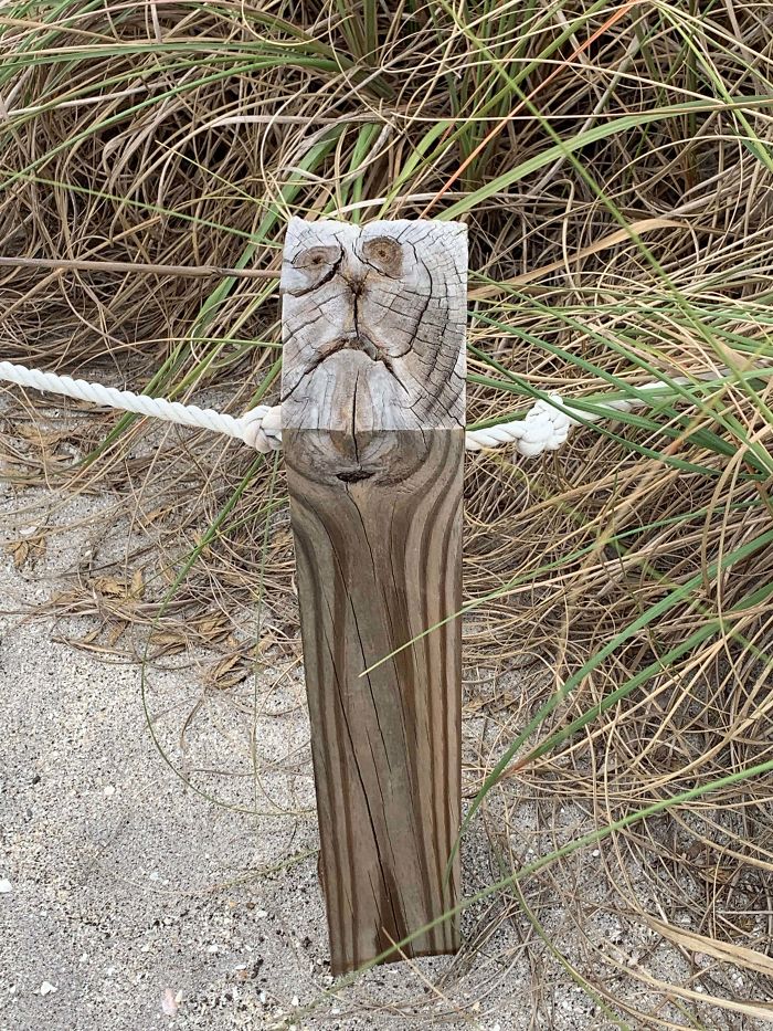This Wood Post Looks Like An Anxious Cat.