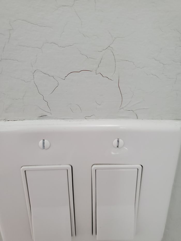 Cat Formed By Cracks Above My Light Switch
