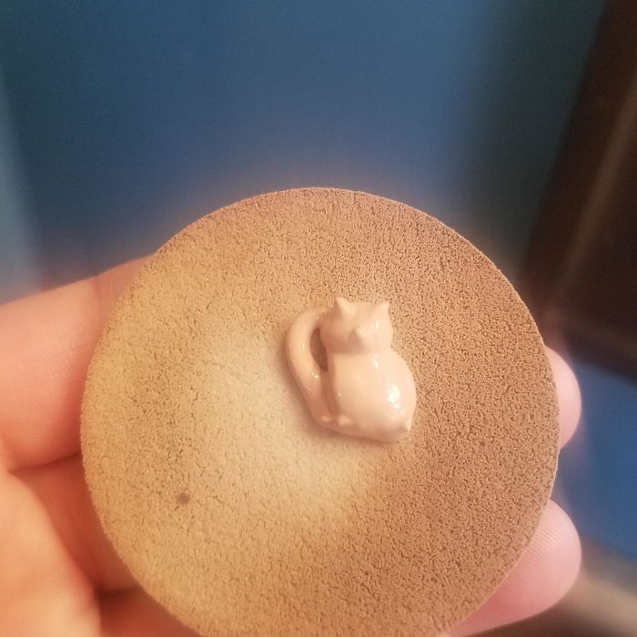 The Makeup Squirt On My Sponge Resembled A Cat This Morning.