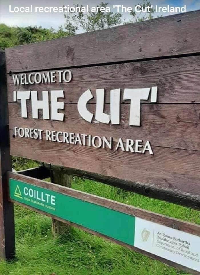 Welcome To “The Cut” Forest Recreation Area. This Font Threw Me For A Loop. Delete If Not Allowed.