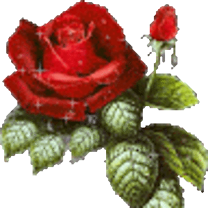 fabyrodrigues avatar