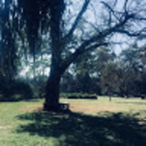 dianaespinosa avatar