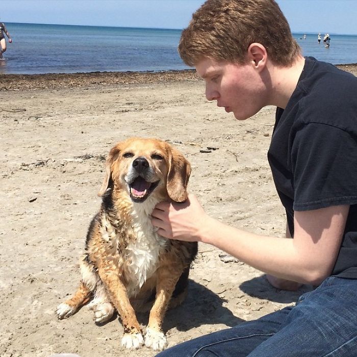 17-Year-Old Dogs First Time At The Beach