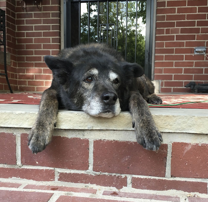 15 Years Old And Still Kickin' It