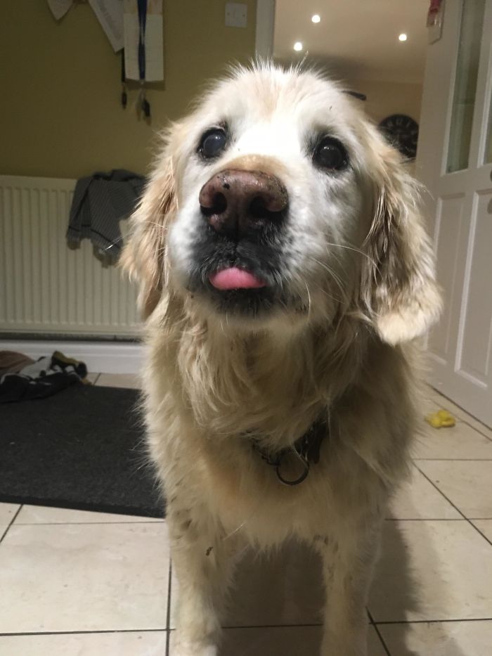 Old Boy Does A Blep