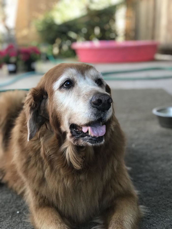 12-Year-Old Ruby And Her Gray Face