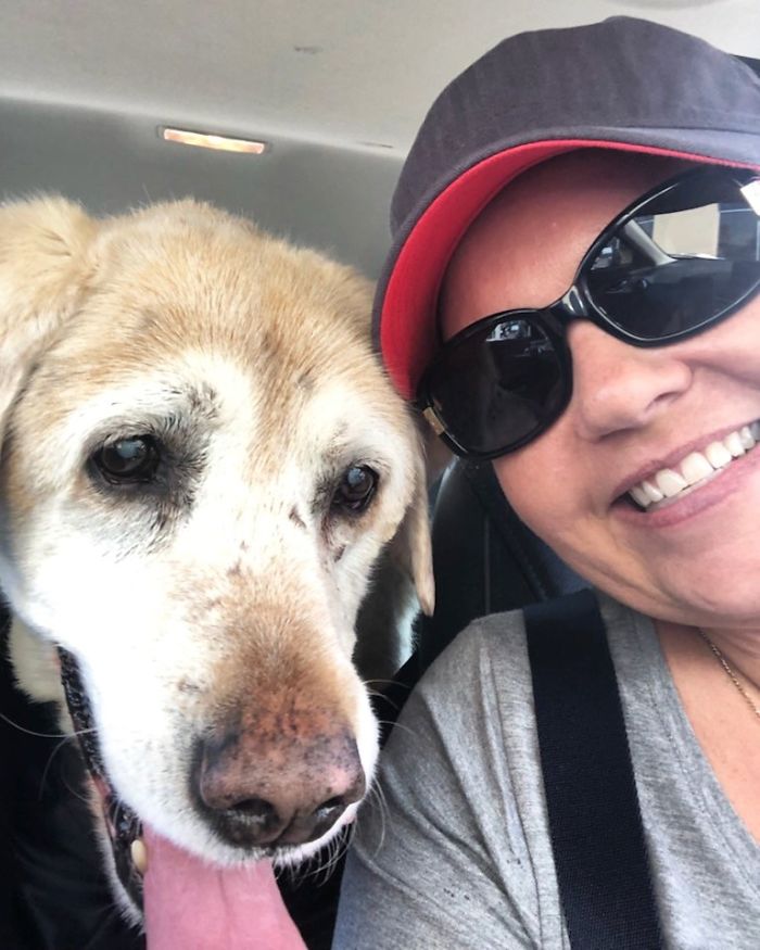 One Of My Dear Friends Adopted Gramps, My 14-Year-Old, Blind Foster Dog Today. I Didn't Know You Could Happy/Ugly Cry At The Same Time Until Today. So Happy For Them Both